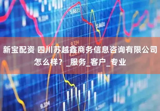 新宝配资 四川苏越鑫商务信息咨询有限公司怎么样？_服务_客户_专业